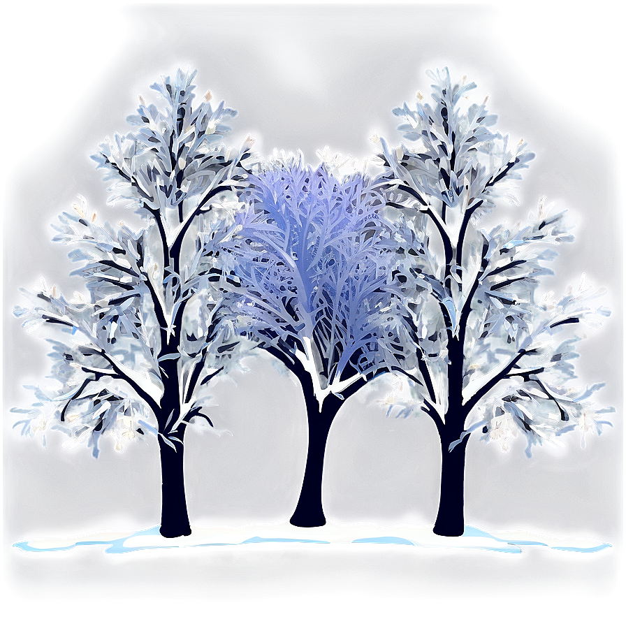 Frozen Winter Trees At Night Png 06292024 PNG image