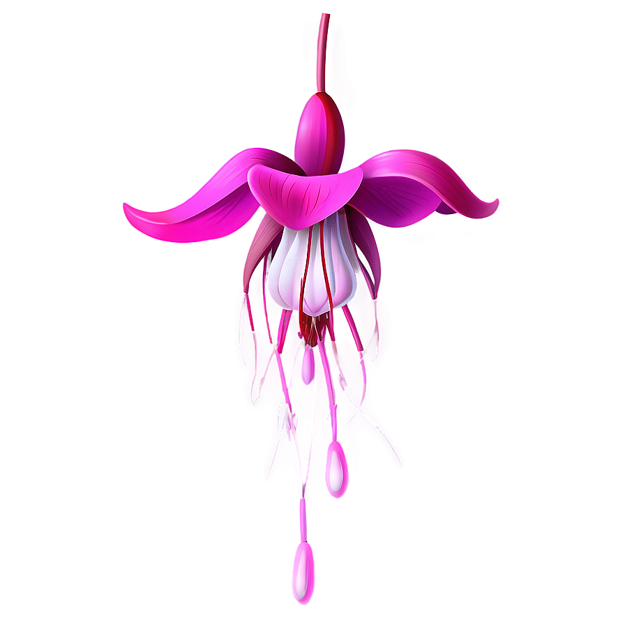 Fuchsia Flower Drawing Png Vbt13 PNG image