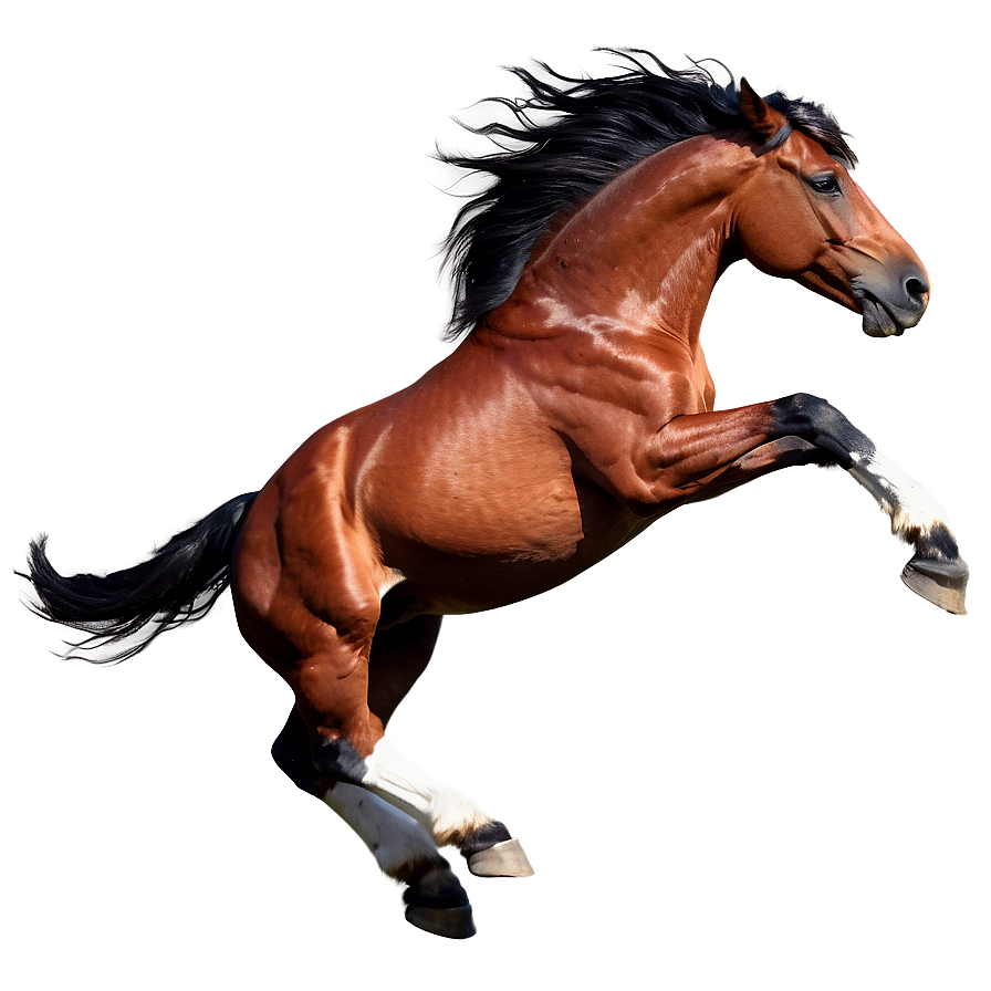 Galloping Horse Png 87 PNG image