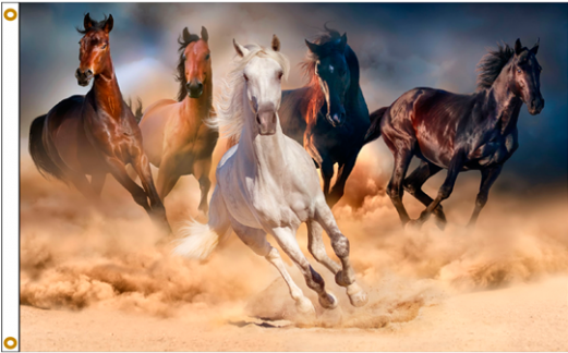 Galloping Horsesin Dust PNG image