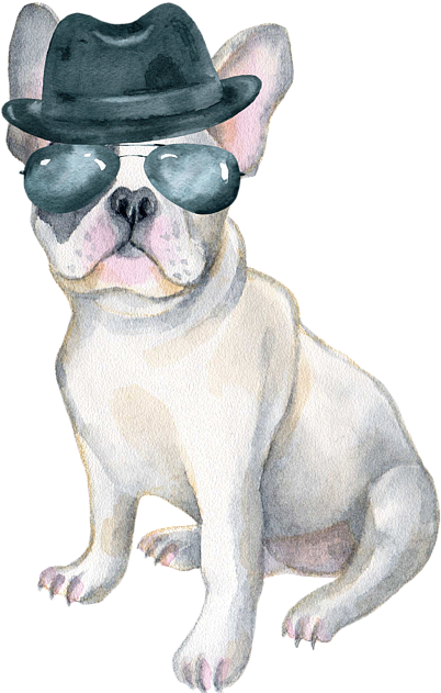 Gangster French Bulldogin Hatand Sunglasses PNG image