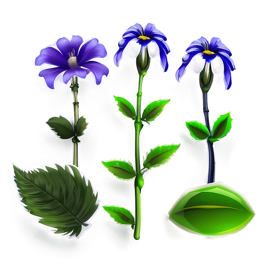 Garden Flower Transparent Png 05252024 PNG image