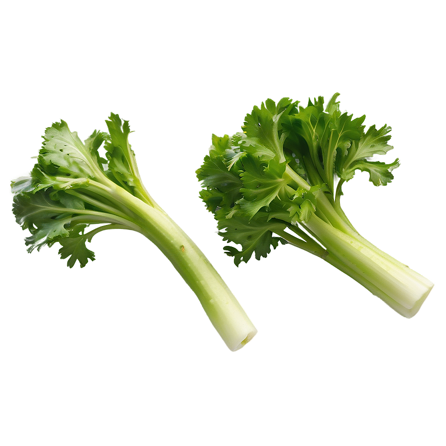 Garden Fresh Celery Png 06252024 PNG image