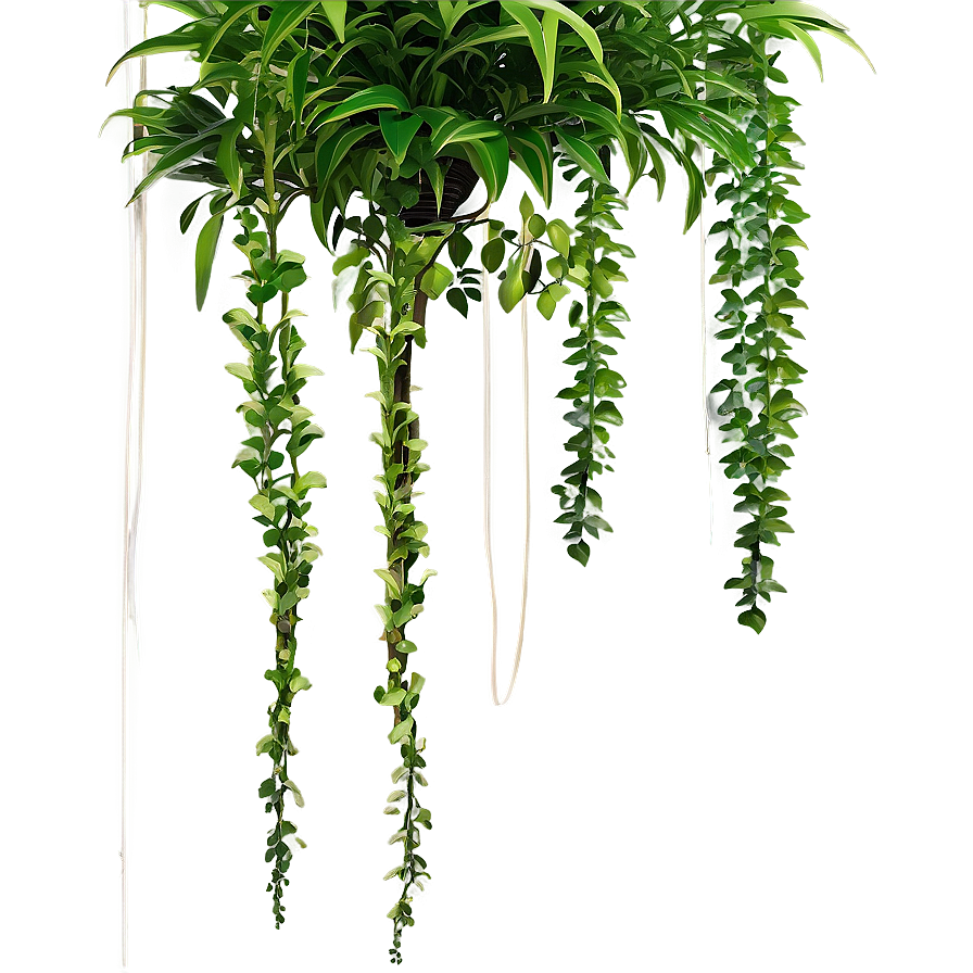 Garden Hanging Plant Png 05252024 PNG image