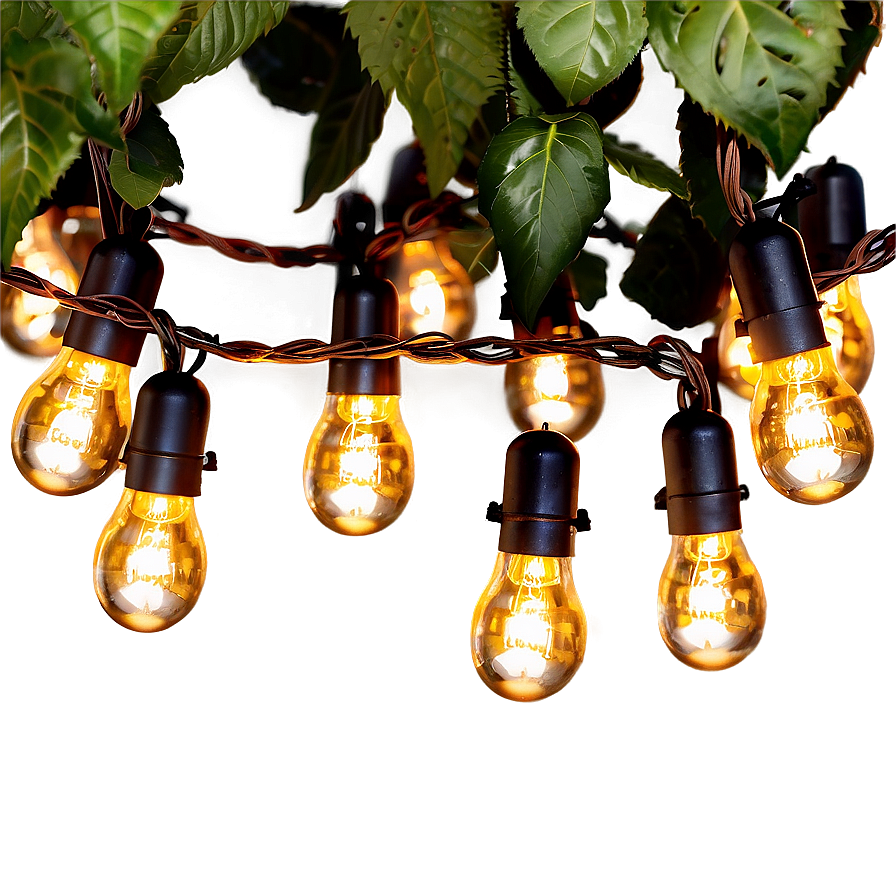 Garden String Lights Png 05252024 PNG image