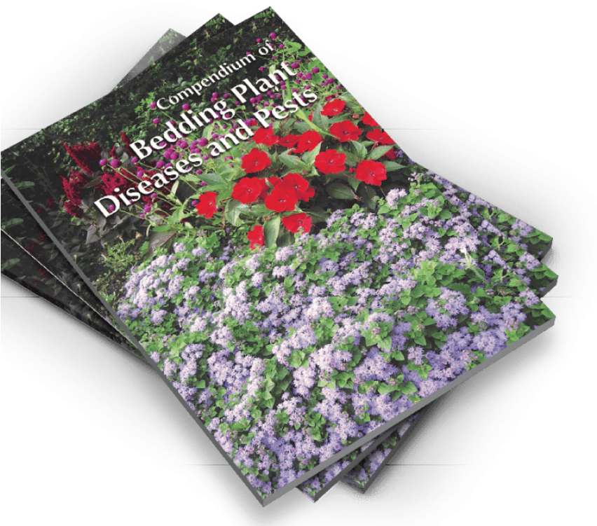 Gardening Book Periwinkle Diseases Pests PNG image