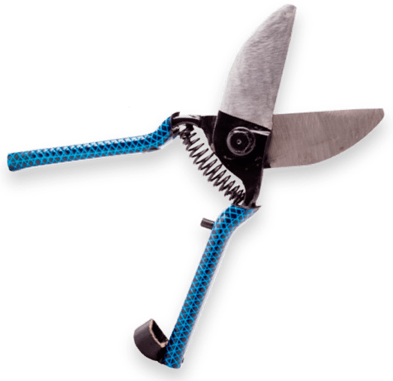 Gardening Pruning Shears Blue Handle PNG image