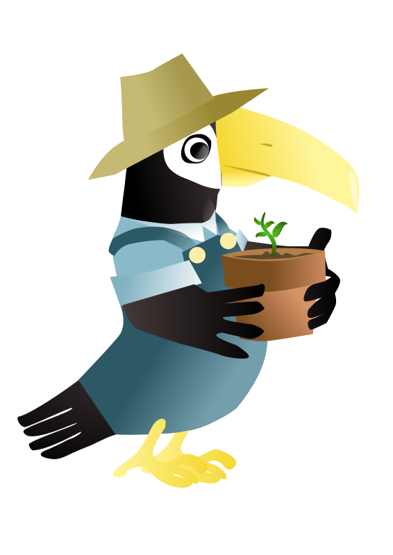 Gardening Toucan Cartoon Character PNG image