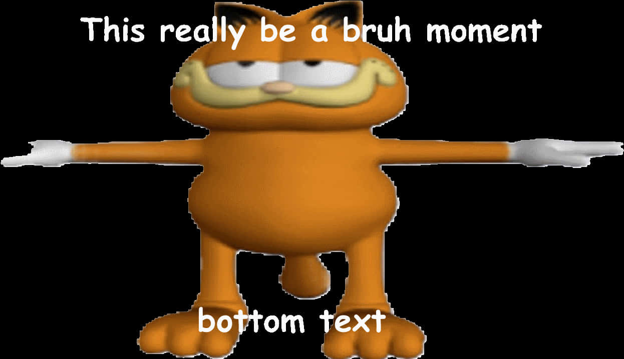 Garfield Bruh Moment Meme PNG image