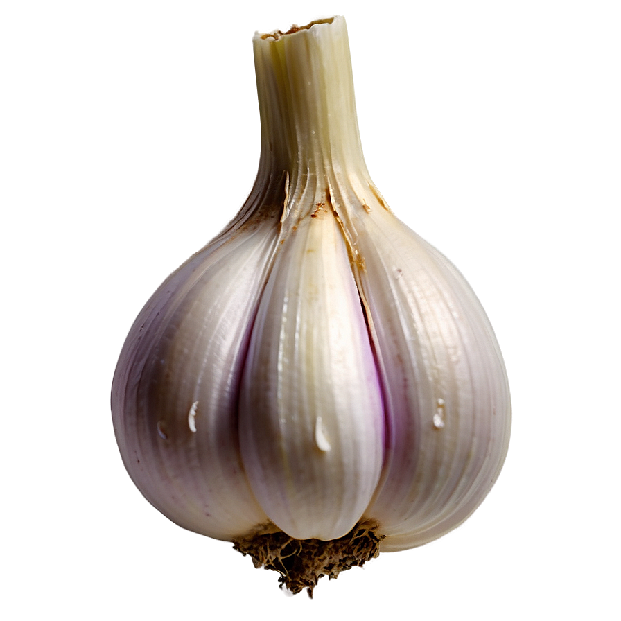 Garlic Bulb Png 05242024 PNG image