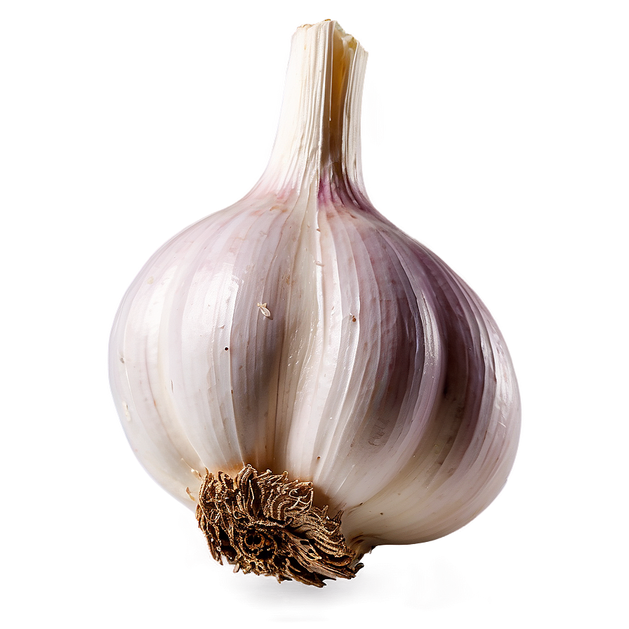 Garlic Bulb Png 05242024 PNG image