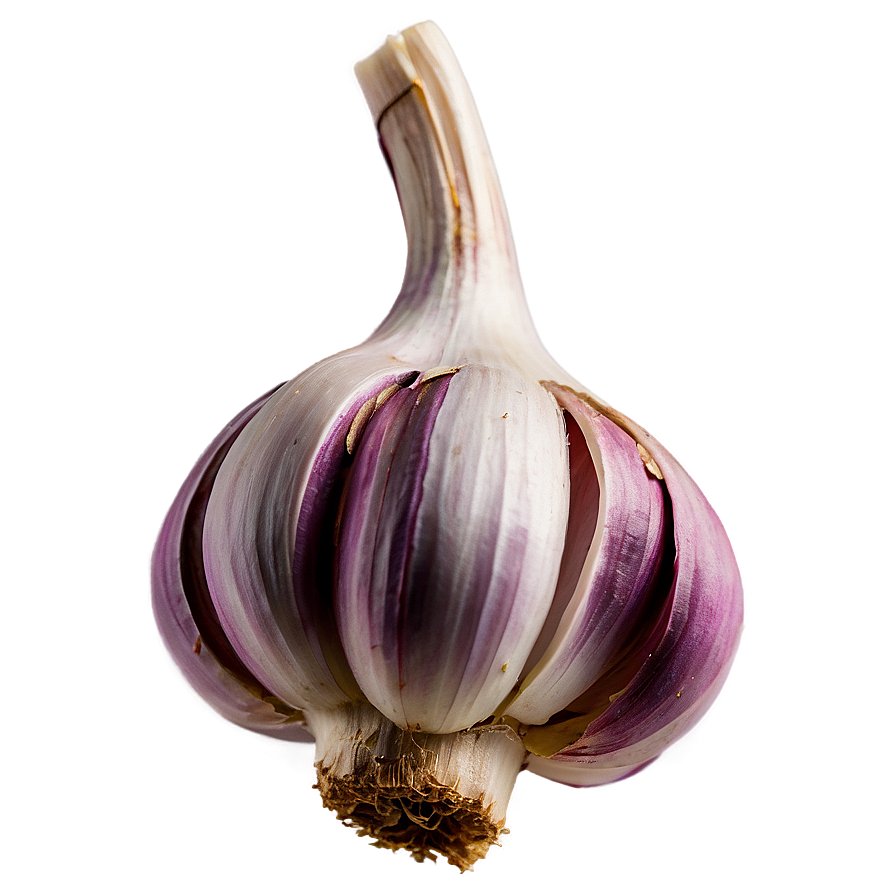 Garlic Clove Isolated Png 23 PNG image