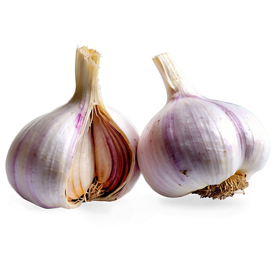 Garlic Clove Isolated Png Wke PNG image
