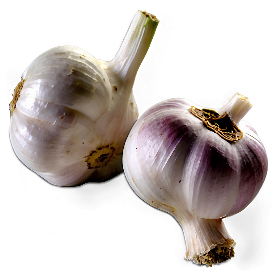 Garlic Field Png 05242024 PNG image