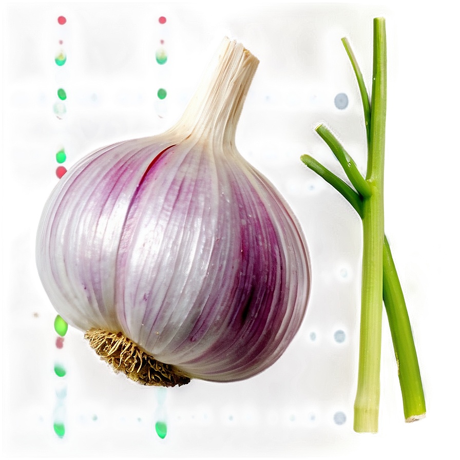 Garlic Flower Png 05242024 PNG image