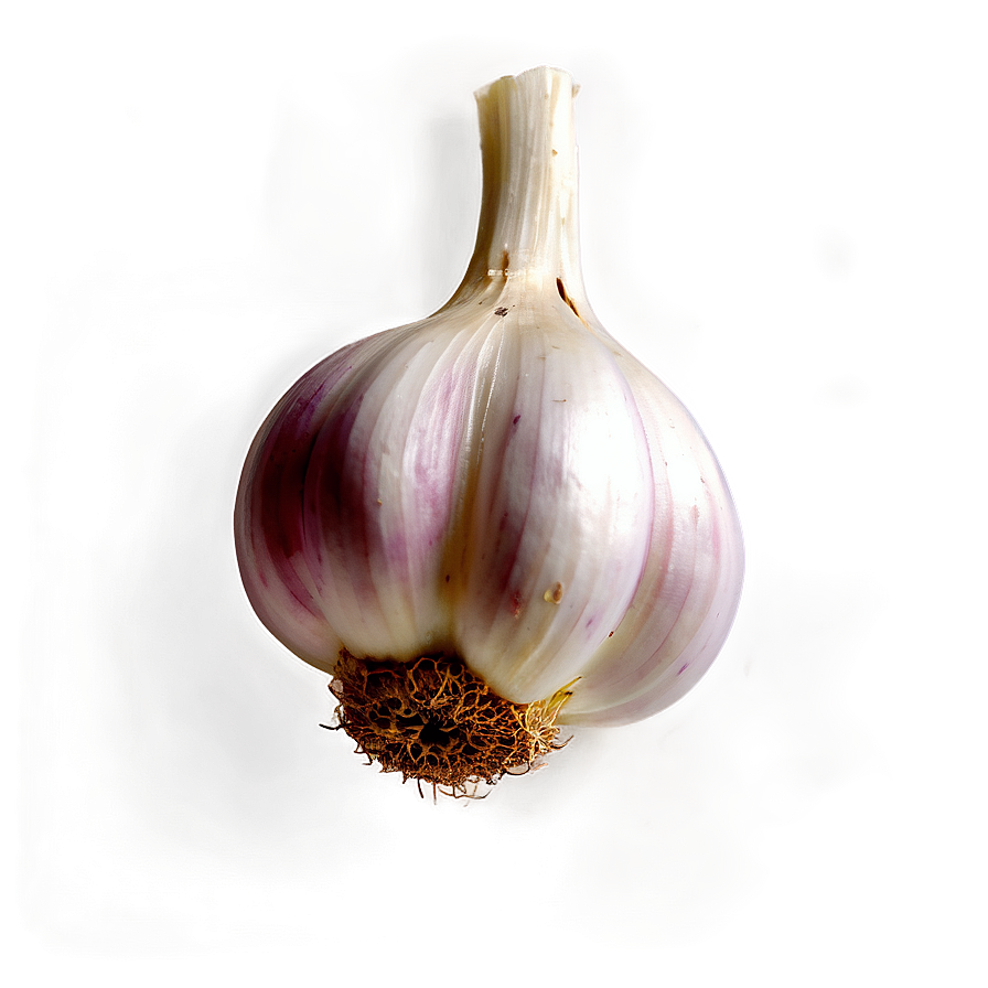 Garlic Infusion Png Xnh PNG image