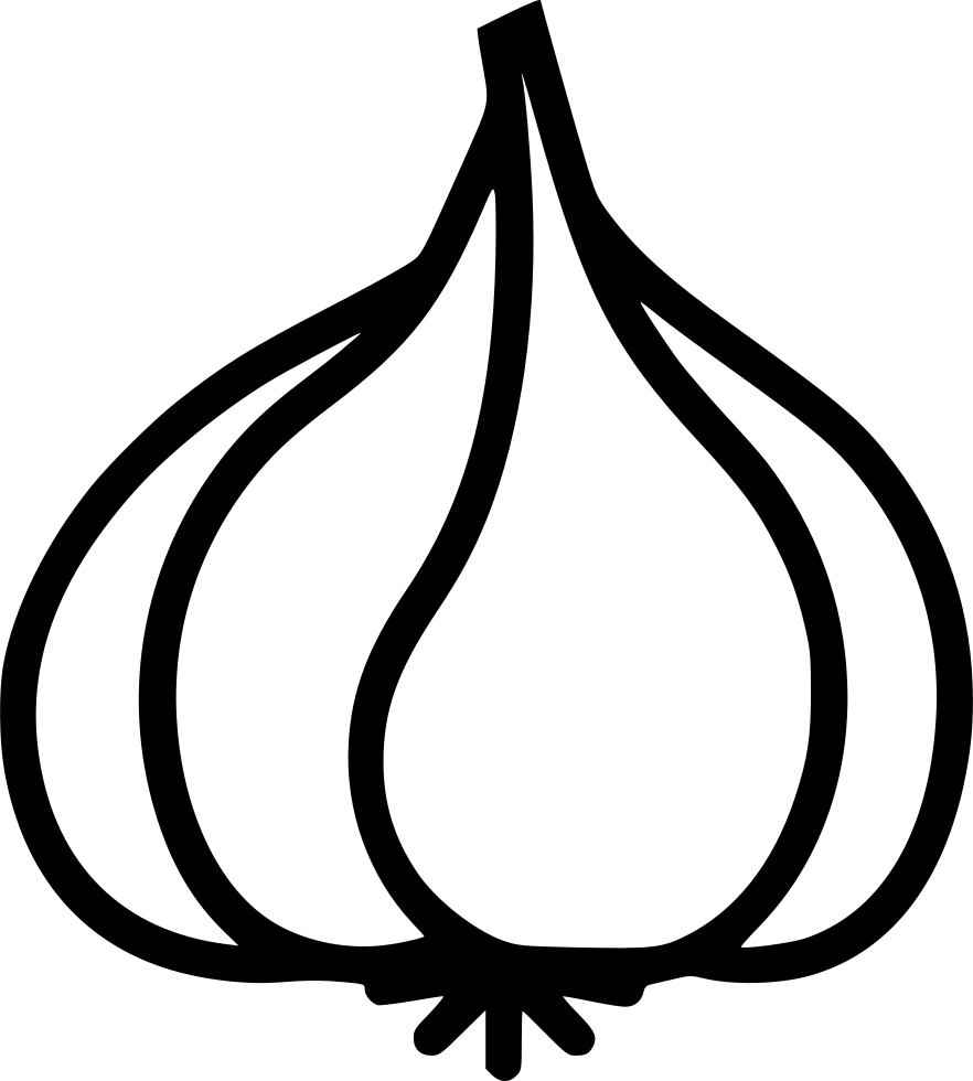 Garlic Outline Vector PNG image