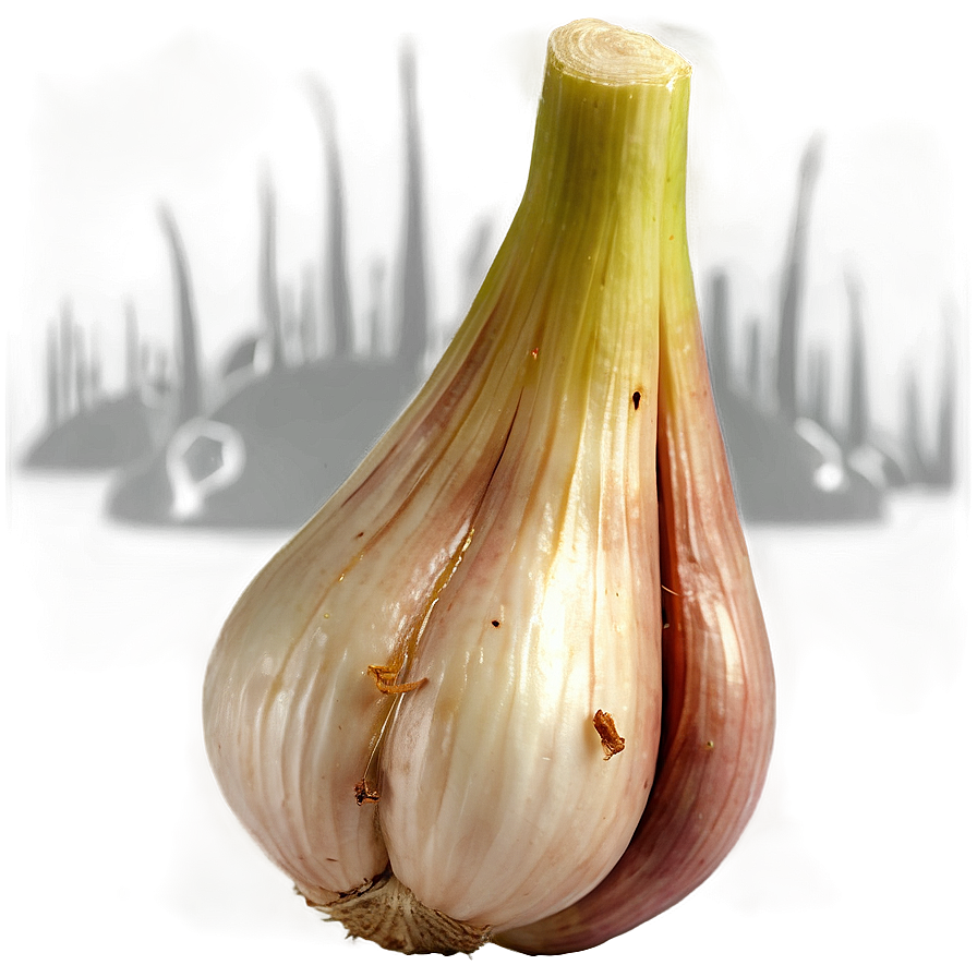 Garlic Pickle Png 05242024 PNG image