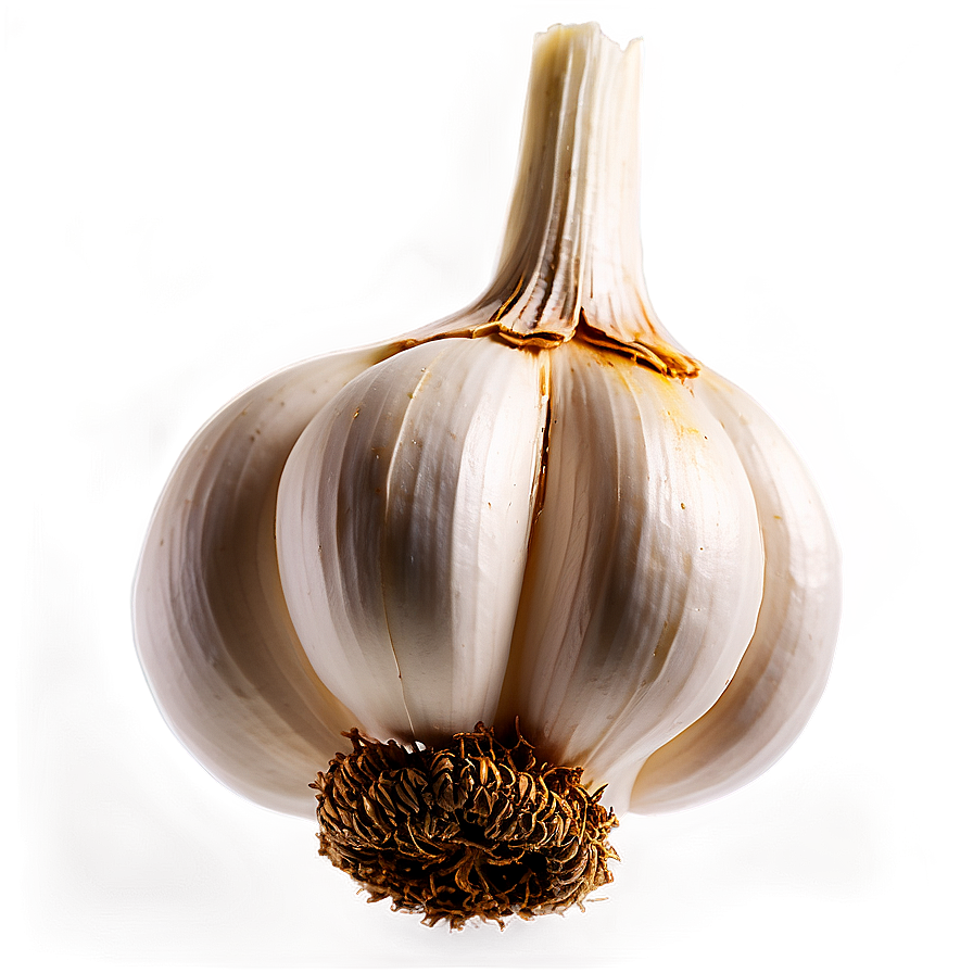 Garlic Plant Png 29 PNG image