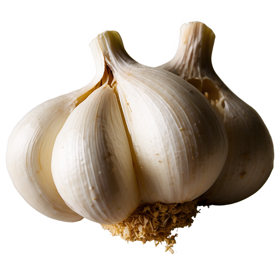 Garlic Powder Png 05242024 PNG image