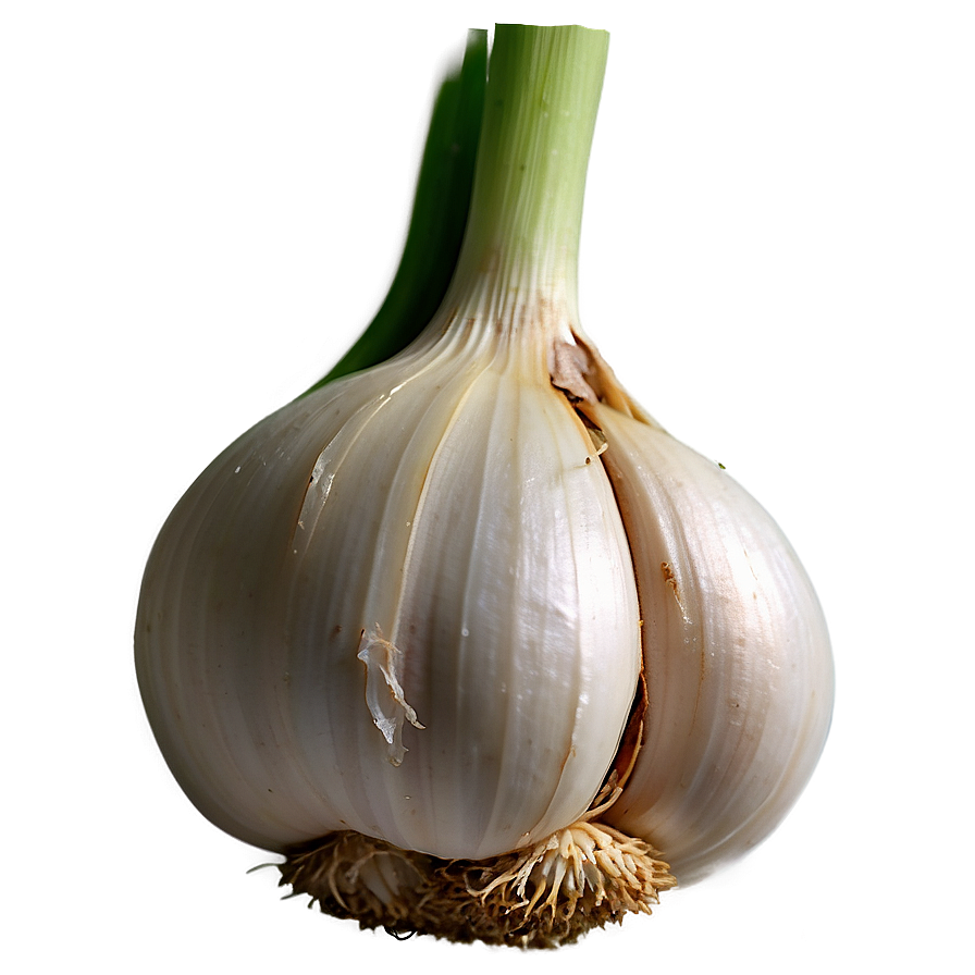 Garlic Sprout Png Bps PNG image