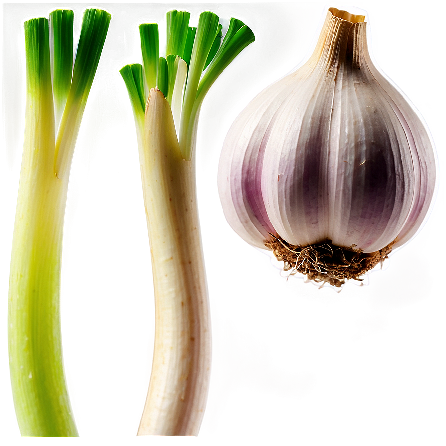 Garlic Sprout Png Wca75 PNG image