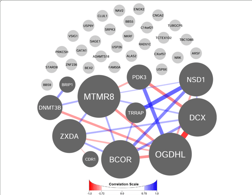 Gene Interaction Network Analysis PNG image