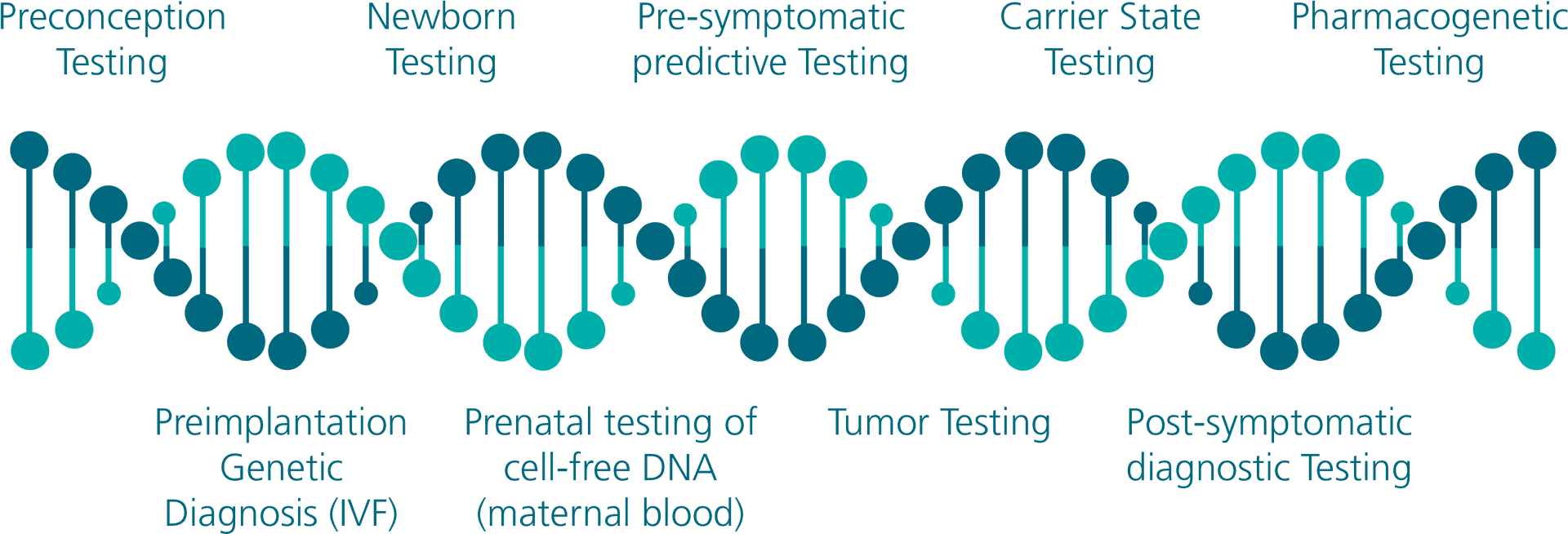 Genetic Testing Stages Infographic PNG image