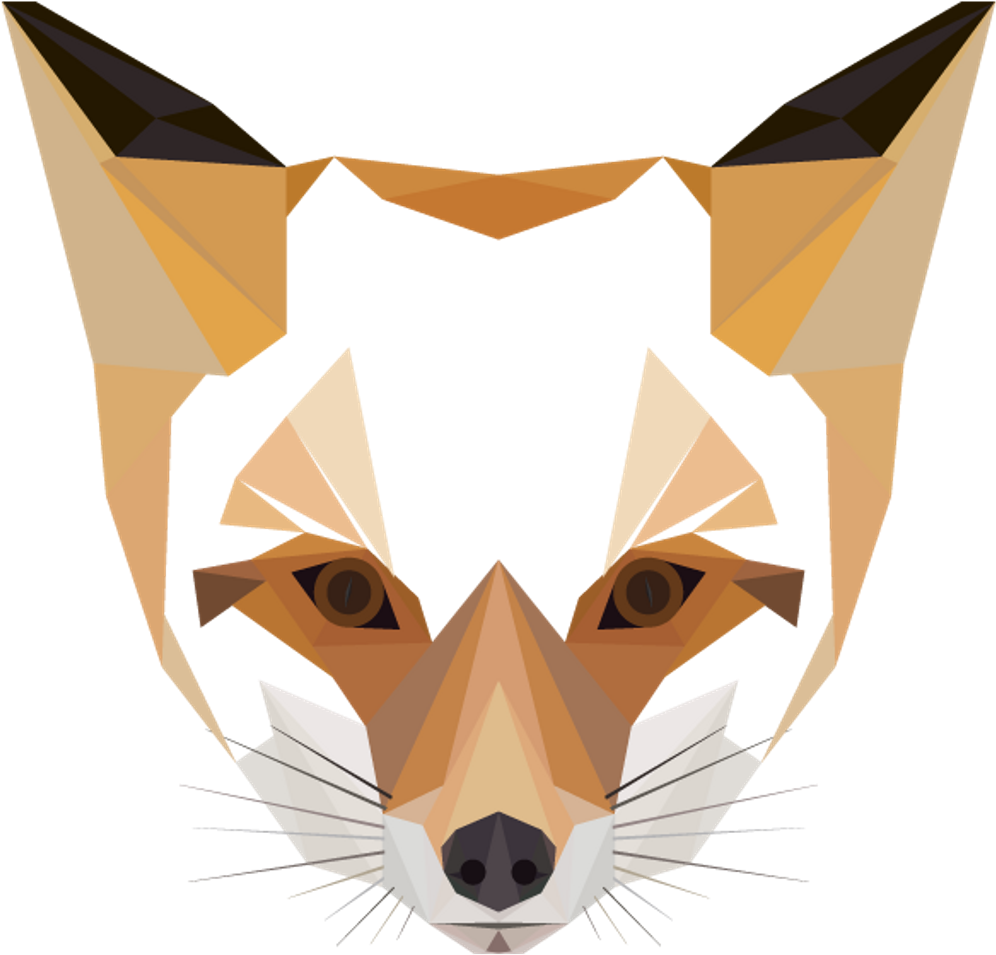 Geometric Fox Artwork PNG image