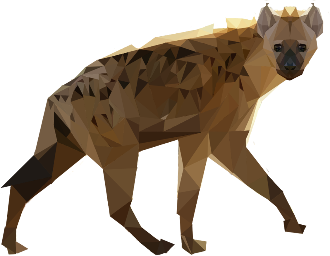 Geometric Hyena Artwork PNG image