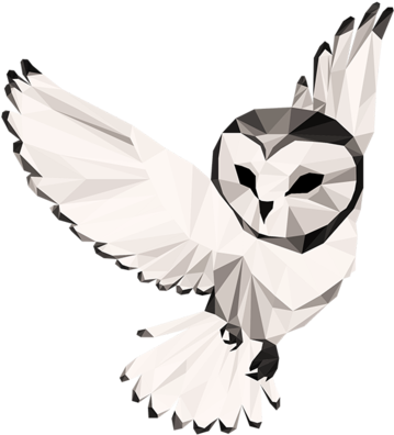 Geometric Owl Artwork PNG image