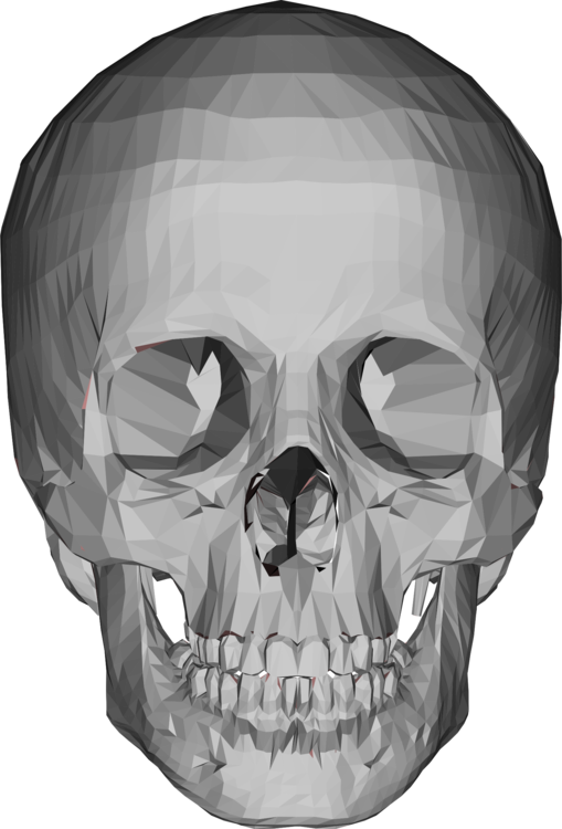 Geometric Skull Rendering PNG image