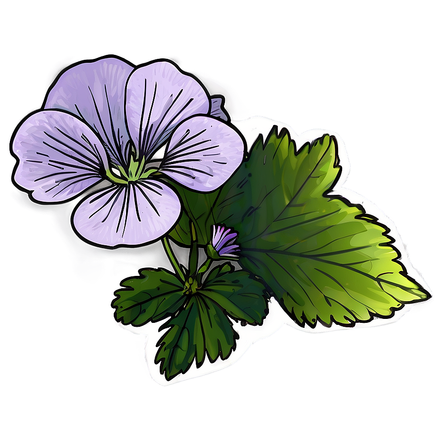 Geranium Flower Sketch Png 64 PNG image