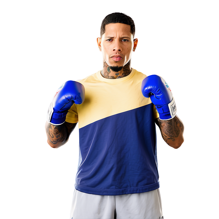 Gervonta Davis Punching Bag Workout Png Iur46 PNG image