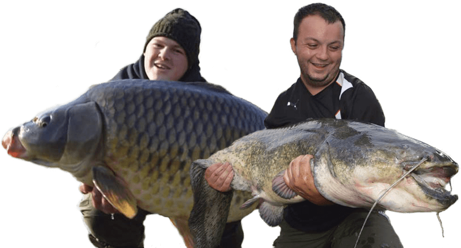 Giant Catfish Caughtby Fishermen.png PNG image