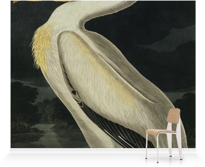 Giant Pelican Artistic Representation PNG image
