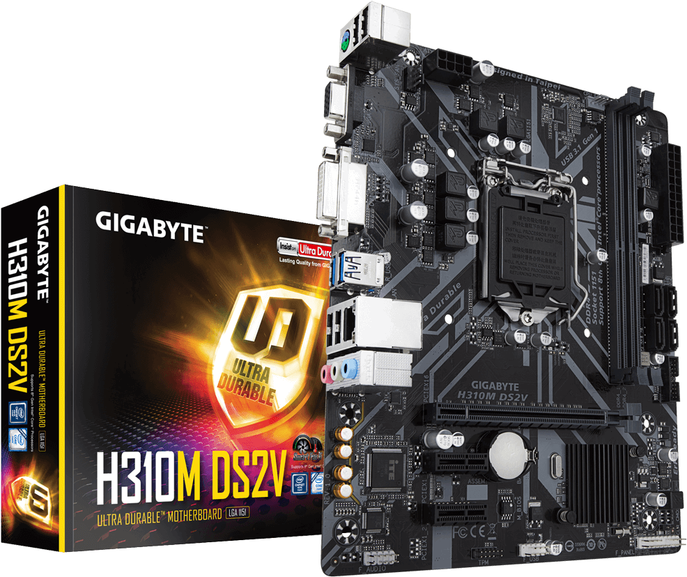 Gigabyte H310 M D S2 V Motherboard Packagingand Board PNG image