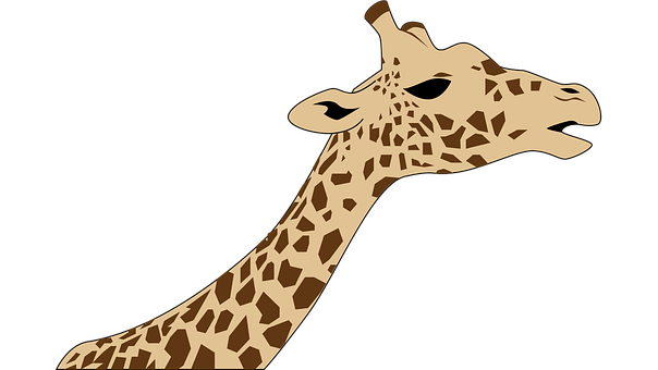 Giraffe Silhouette Art PNG image