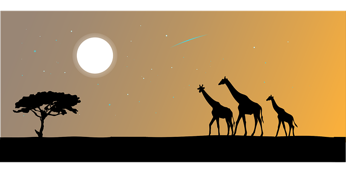 Giraffe Silhouettes Under African Sky PNG image