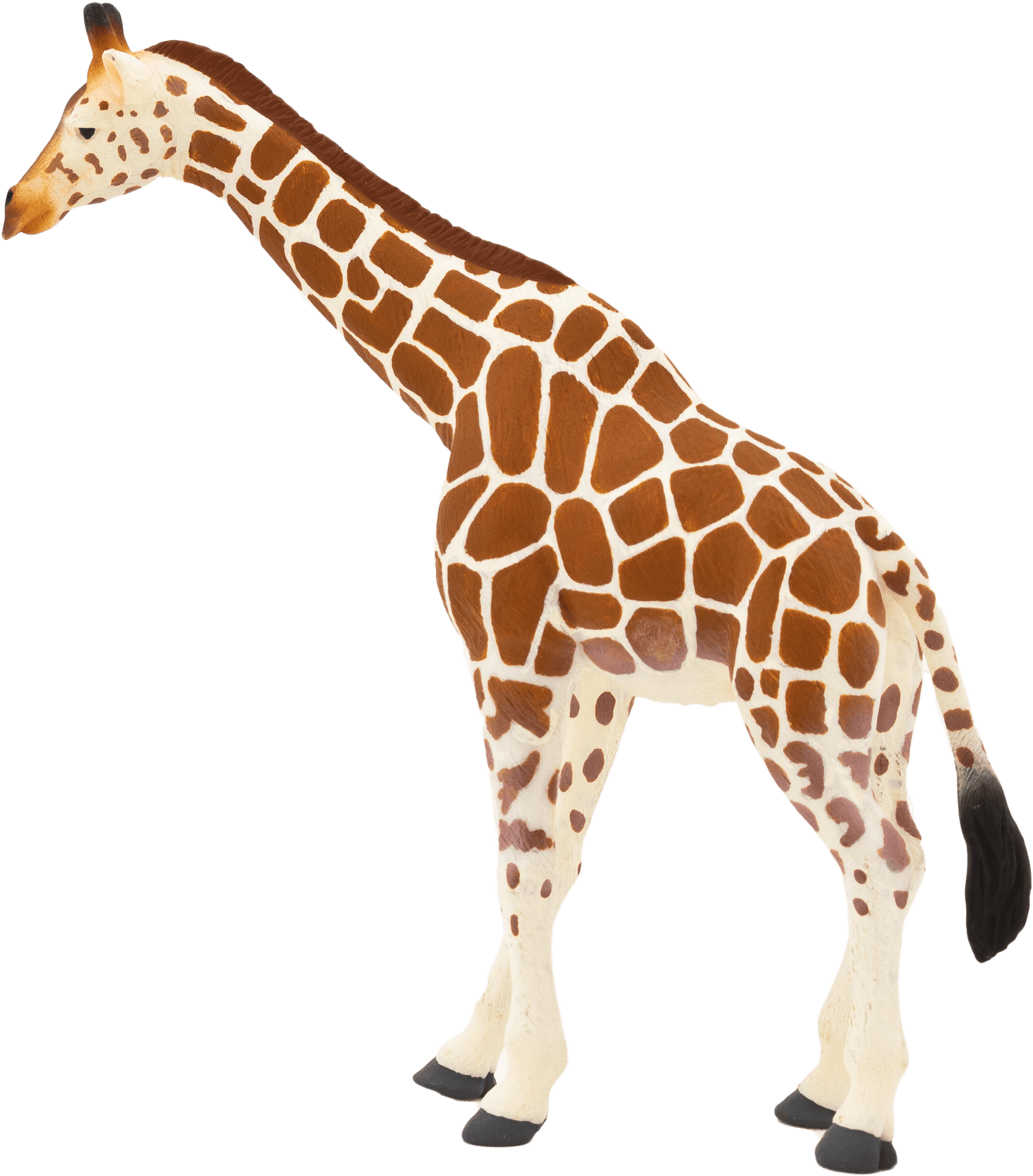 Giraffe Standing Profile PNG image