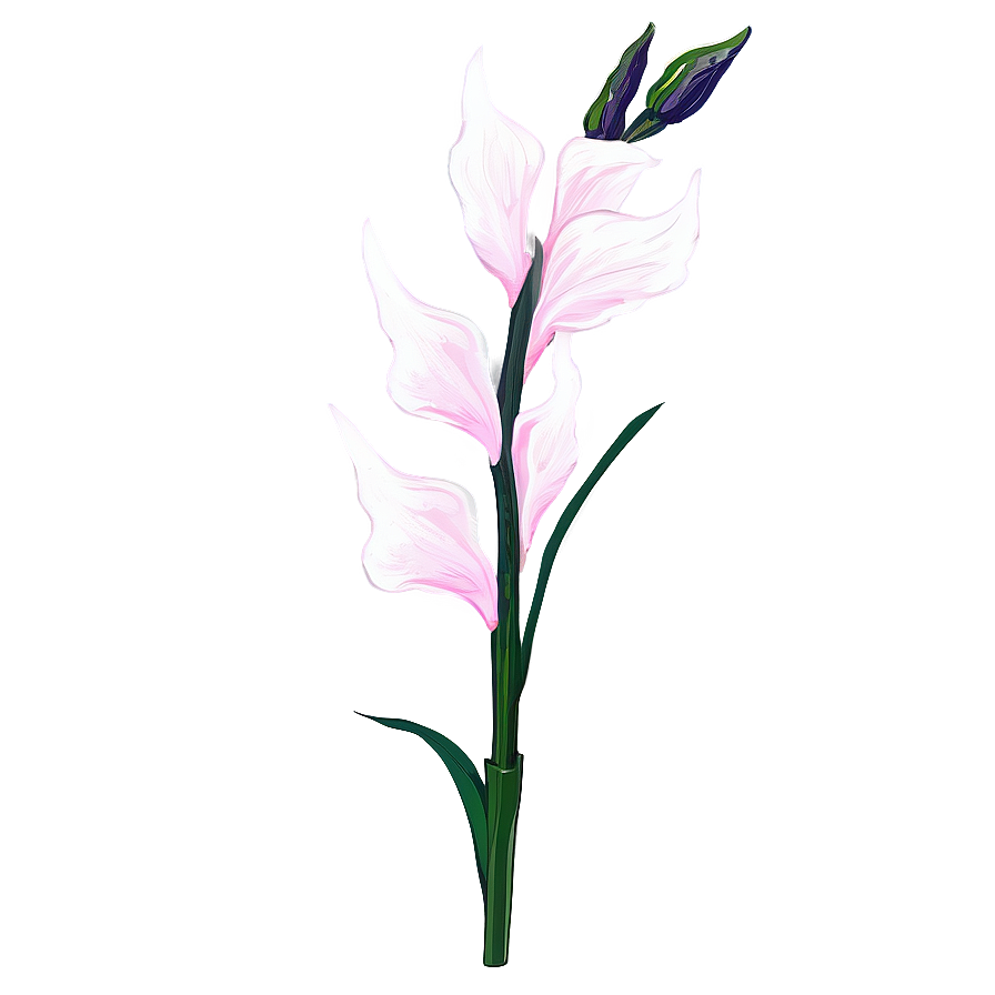 Gladiolus Flower Line Drawing Png Qxa67 PNG image