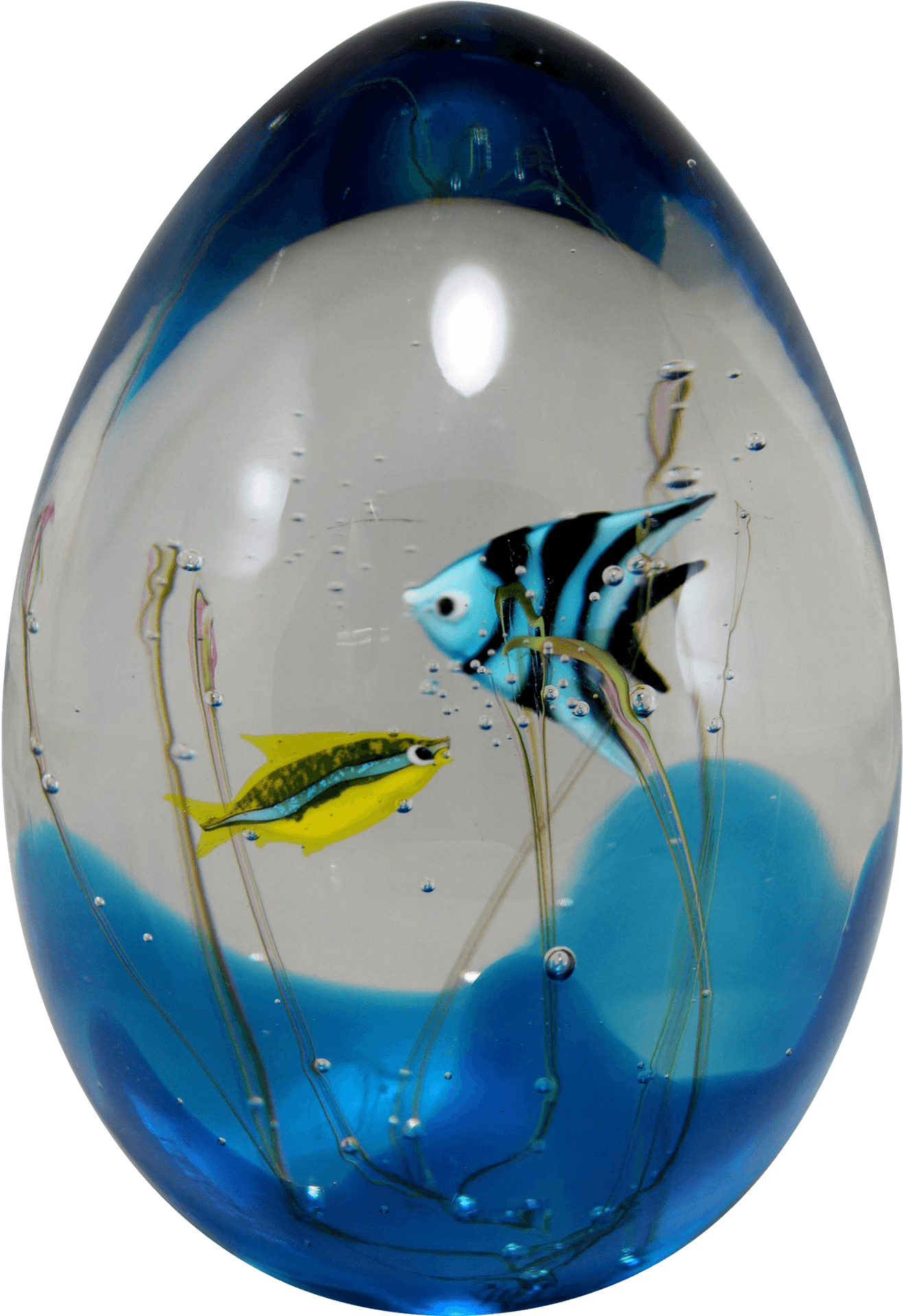 Glass Aquarium Paperweight PNG image