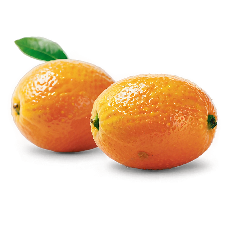 Glistening Kumquat Png 86 PNG image