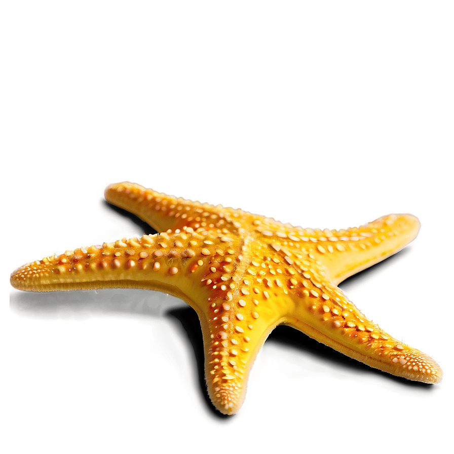 Glittering Yellow Starfish Png 05062024 PNG image