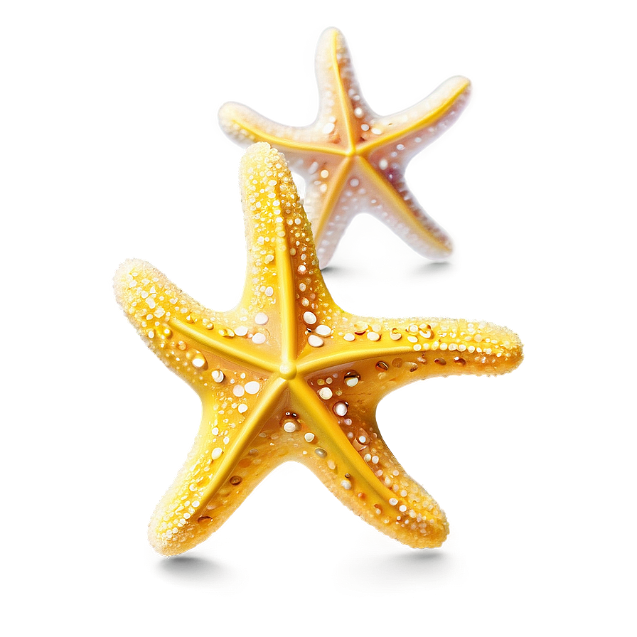 Glittering Yellow Starfish Png Rmq PNG image