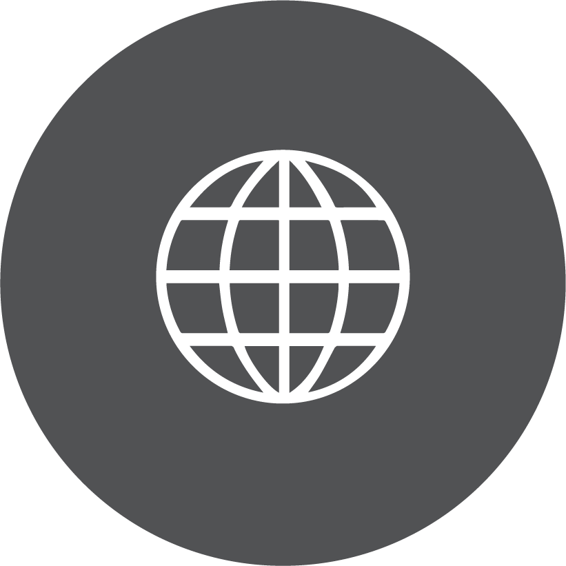 Global Web Icon PNG image