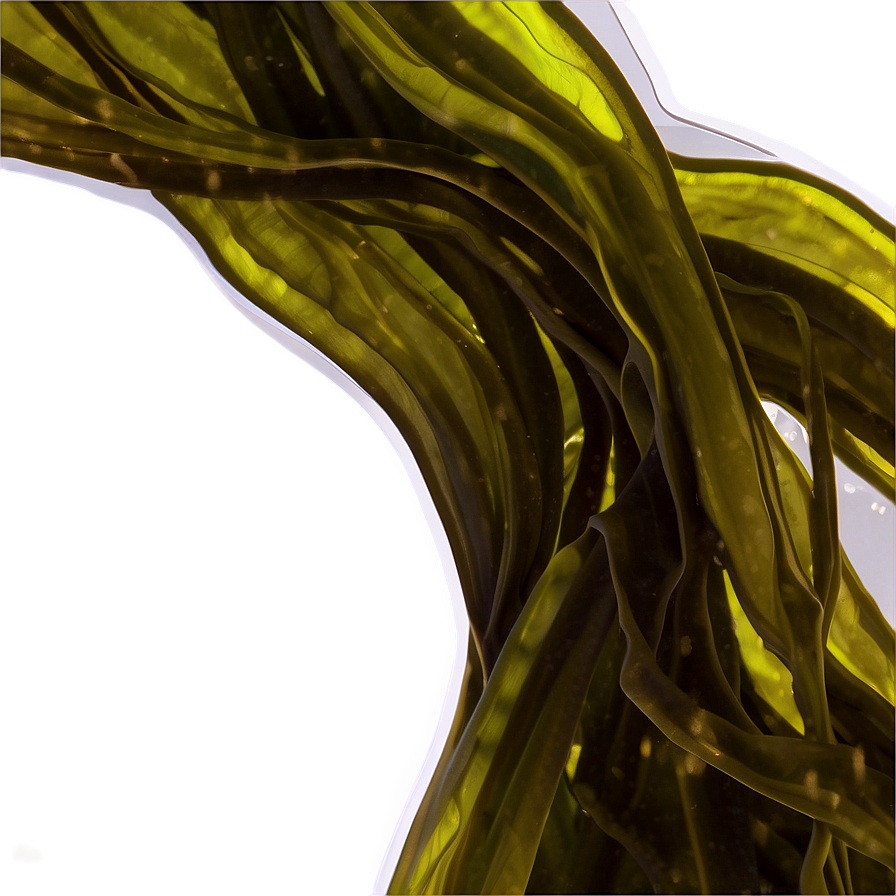 Glossy Seaweed Sticker Png Xid PNG image