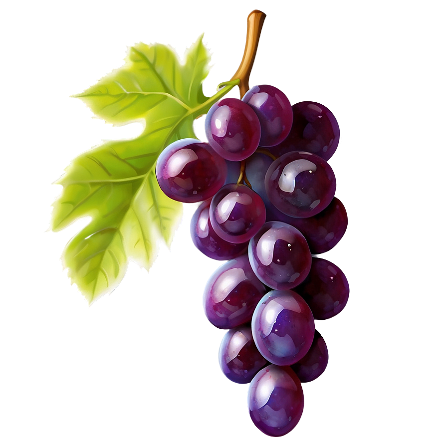 Glossy Shine Grape Png Qxm97 PNG image