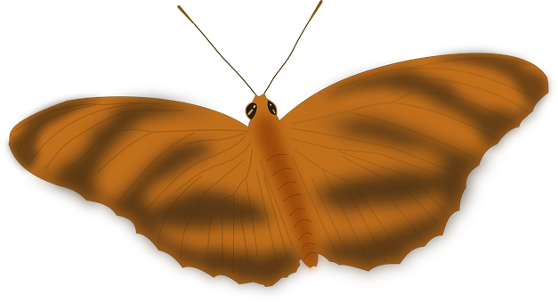 Glowing Butterfly Silhouette PNG image