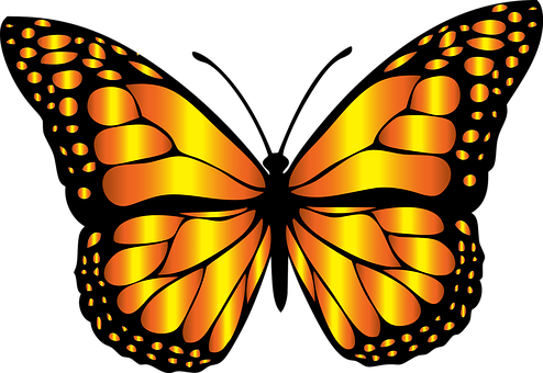 Glowing Butterfly Vector Art PNG image